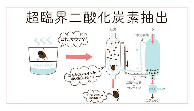 スタバのデカフェのカフェイン処理の方法