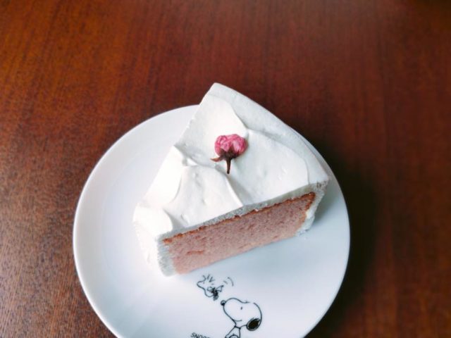 さくらシフォンケーキ